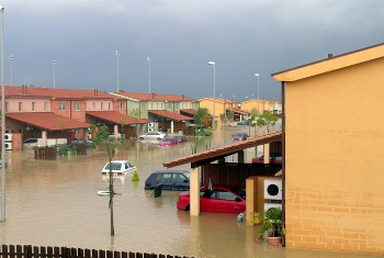 Foto cubierta