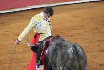 Foto cubierta