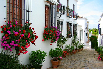 Foto cubierta