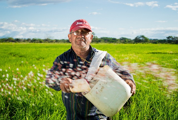 Foto cubierta